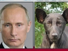 2013 Bests: The Putin dog