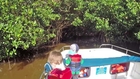 2014-02-07 - Mangrove Tour - Seafood Festival 2