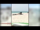 **ORIGINAL UNCENSORED VIDEO** Florida Grandma Videos Couple Having Sex On Beach