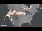NOAA Model Shows Wildfire Smoke Spread Across the U.S.