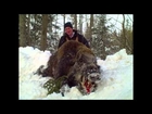 Russian Boar - Giant Boar Shot By Nebraskan Hunter