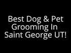 Best Dog & Pet Grooming In Saint George Utah | http://doggrooming.insaintgeorgeut.com/