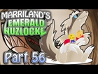 Pokemon Emerald Nuzlocke, Part 56: The Fanart Special!