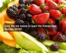 What is good for kidney stones? kidney diet secrets has great info on what is good for kidney stones