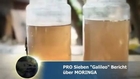 Moringa Oleifera - ProSieben Galileo - Bio Moringa vom MoringaGarden Teneriffa